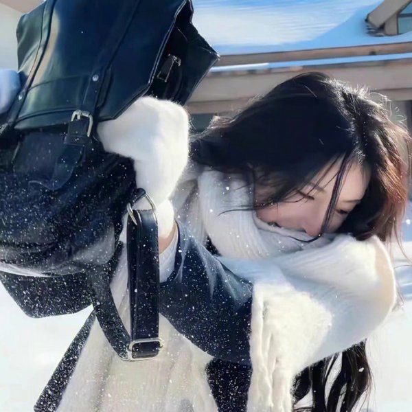 冬眠者海报