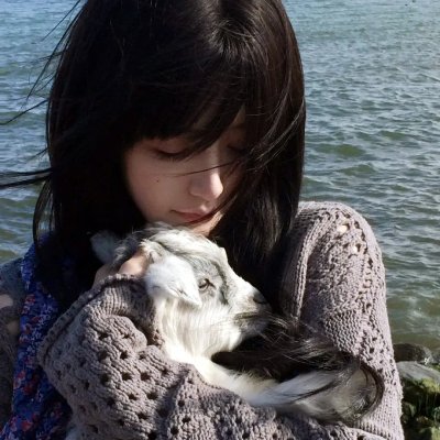 少年叶问之危机时刻海报